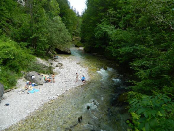Mündung der Krummen Steyrling