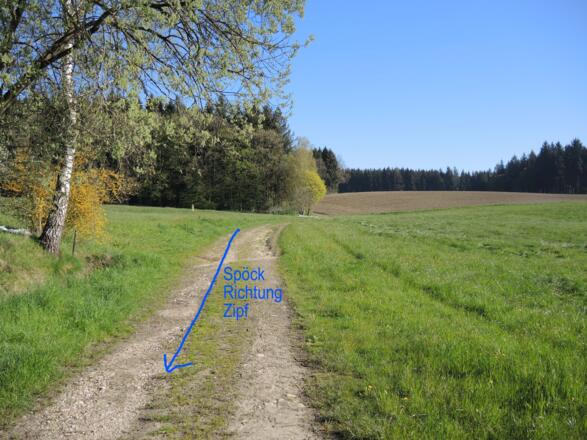 Wieder auf einem Wiesenweg in 'Satteltal bei Zipf