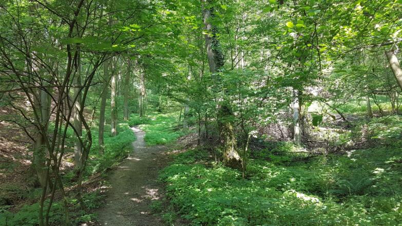 Ein kurzer, steiler Waldpfad bringt uns rüber an das obere Ende der Bergsiedlung