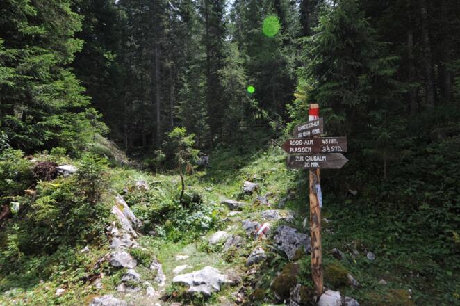 Rechts zweigt der Almweg zur Plankensteinalm ab