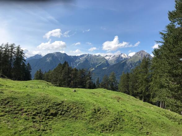 Blick zur Vorderen Platein und zum Muttekopf