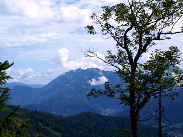 Blick zum Tamischbachturm um 1250m