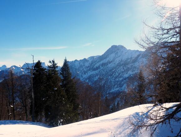 Hexenturm vom Gipfelkreuz 1538m gesehen