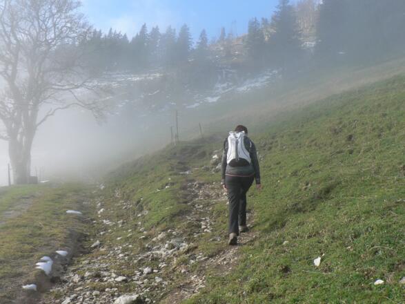 ... bis ein Fußweg nach rechts wegführt