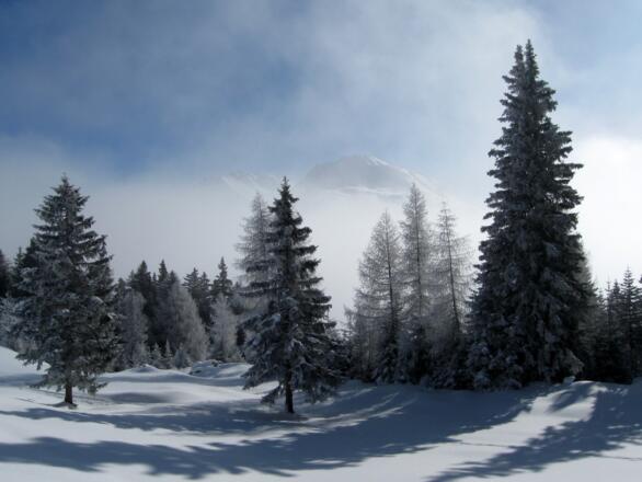 Unberührte Landschaften.