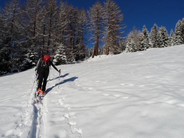 Nur wenige TourengeherInnen wählen diese schöne Anstiegsvariante.