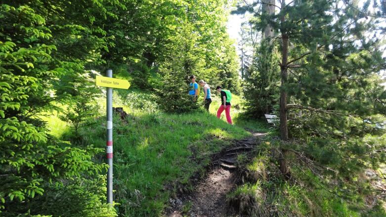 ... Buchen, geben der Wanderung ...