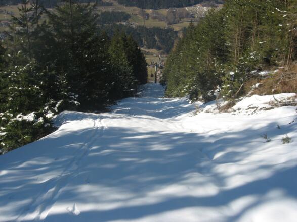 Ein Stück unter der Gondel aufwärts und dann nach links auf der Forststraße weiter (Das Bild zeigt den kurzen Aufstieg unterhalb der Gondel, Siehe Beschreibung)