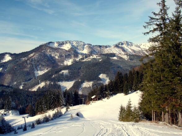 1130m am Hochpunkt der Piste, Blick zurück.
