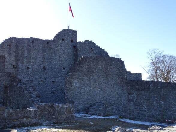 Ruine Neu-Schellenberg