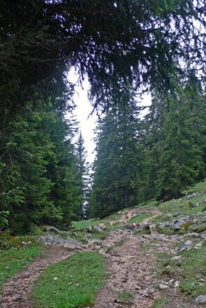 Beim Abstieg zur Buchauer Alm