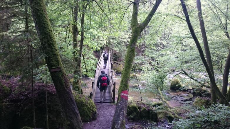Holzbrücken erleichtern die Überquerungen der Feldaist
