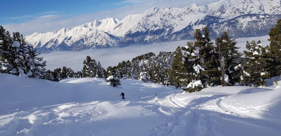 Oben lichtet sich der Wald