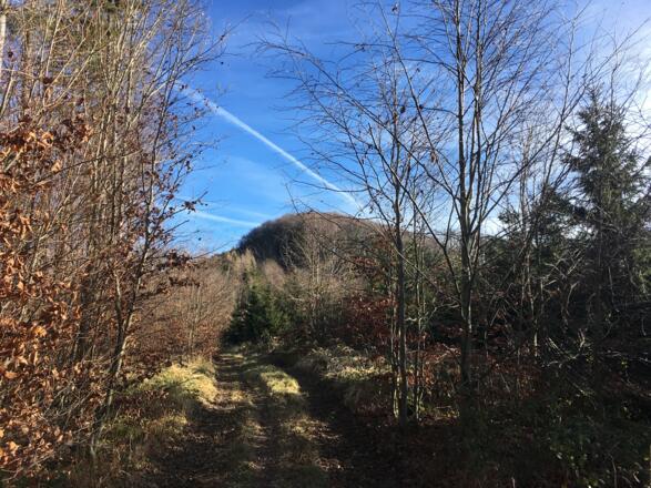 Erster Blick zum Gipfel