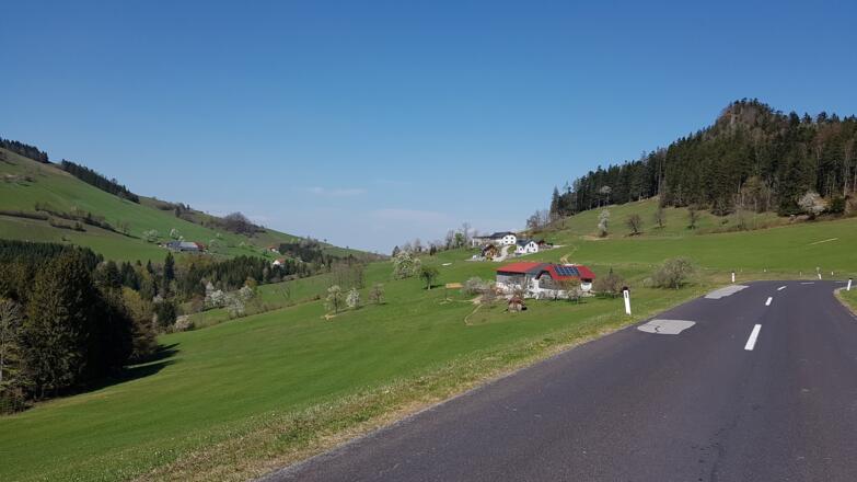 auf der Kreuzgruberhöhe