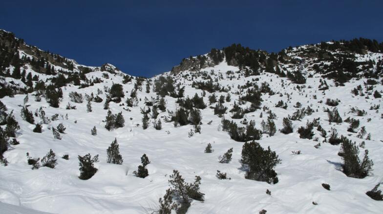 Im unteren Teil gehts durch den Latschengürtel auf und abwärts.