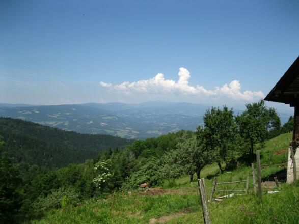 Sicht zur Koralpe