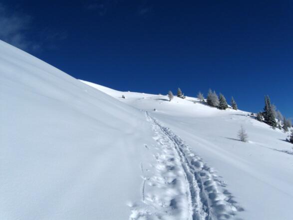 Zum Schluß geht es unterhalb der Alm vorbei und man erreicht diese von dessen Rückseite.
