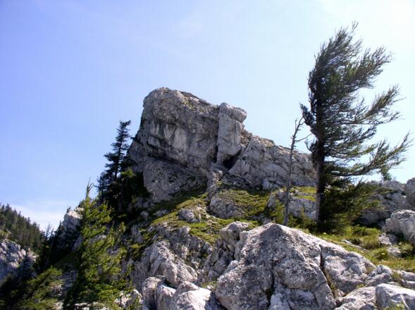 Da geht's rauf zum Kl. Schoberstein, Sattel 940m.