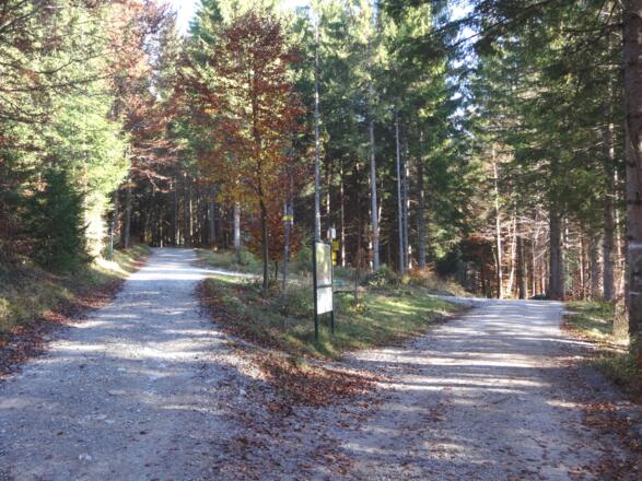 nach ca. einem Km die linke Abzweigung nehmen