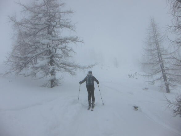 Die letzten Meter, die Waldgrenze ist endgültig erreicht