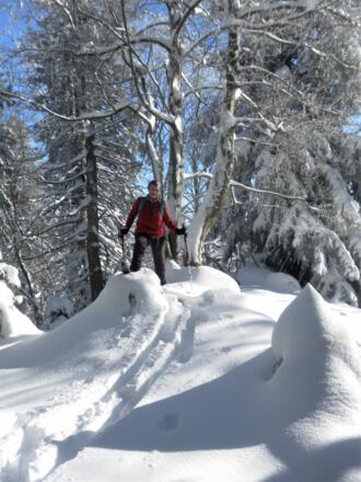 Hoheneck