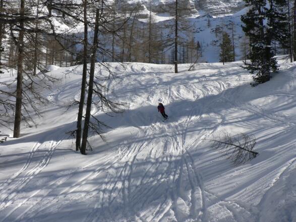 Abfahrt durch lichten Lärchenwald