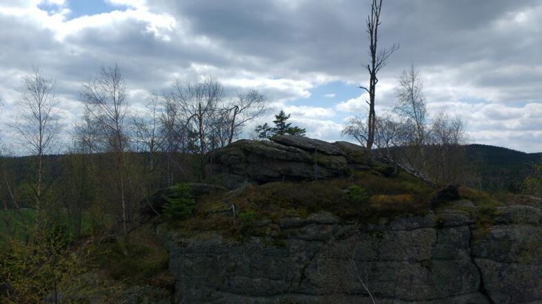 Im Tanner Moor