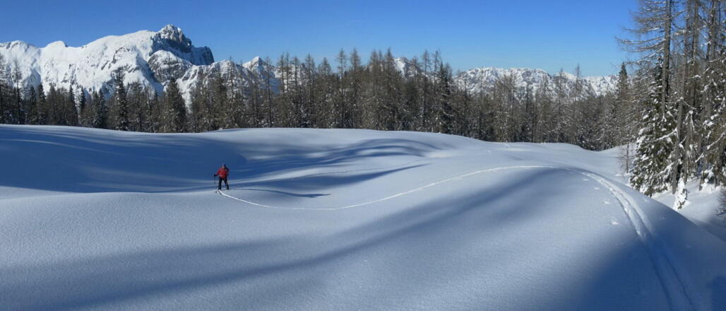 welliges Terrain oberhalb der Mulden - Wilder Jäger