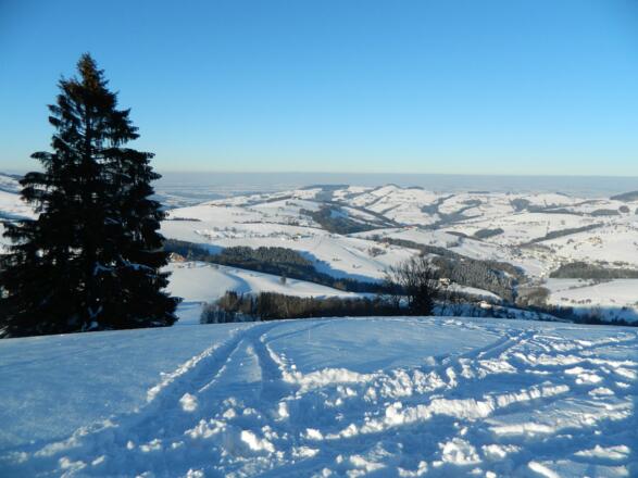 Abfahrt hinunter nach Ertl