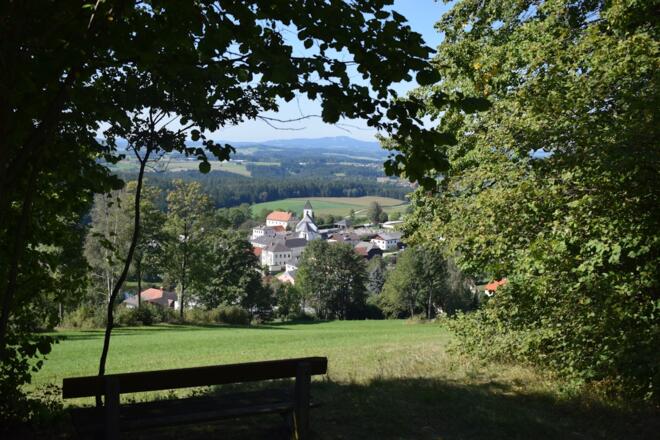 Grünbach, im Hintergrund der Sternstein