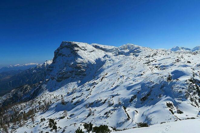 Rosskogel