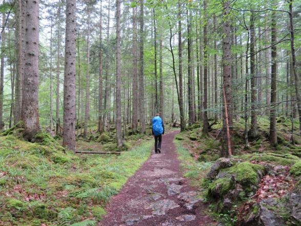 Auf alten gut befestigten Pfaden geht's Richtung Tiergartenhütte