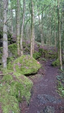 zahlreiche Granitblöcke entlang des Weges