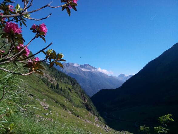 oberhalb der B'suchalm