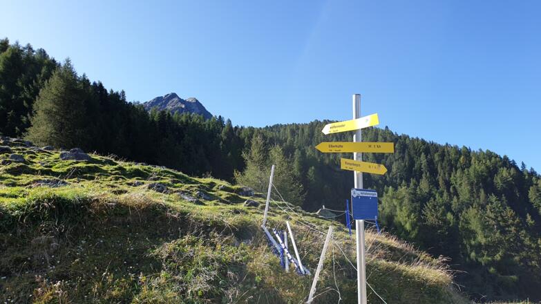 Weiter Richtung Zindegg ...