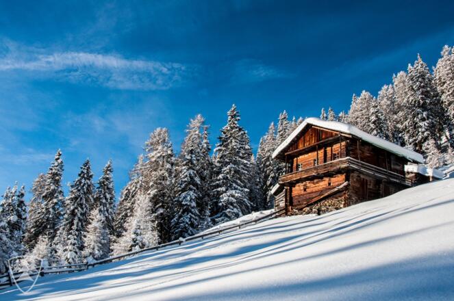 Mitterwurzenalm (1888 m)