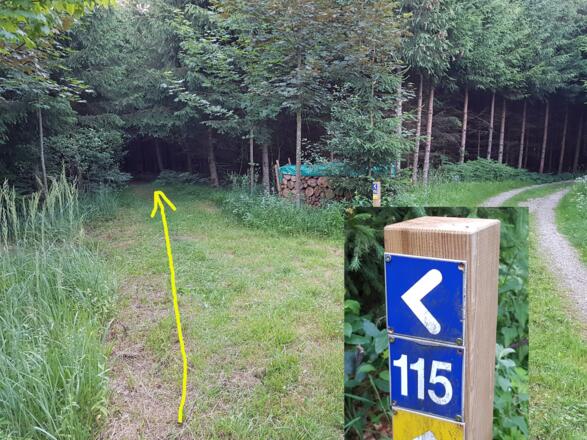 Links abbiegen auf Wanderrouter 115