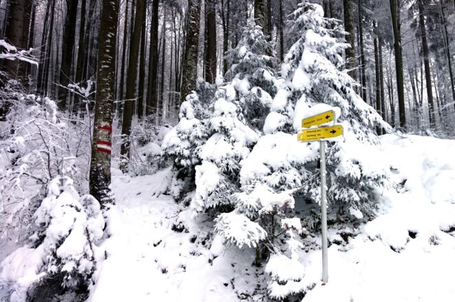 Rechts ab (810m) Wanderpfad WEG 7