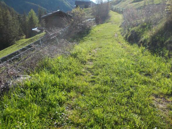 Weg zur Greiter Mühle