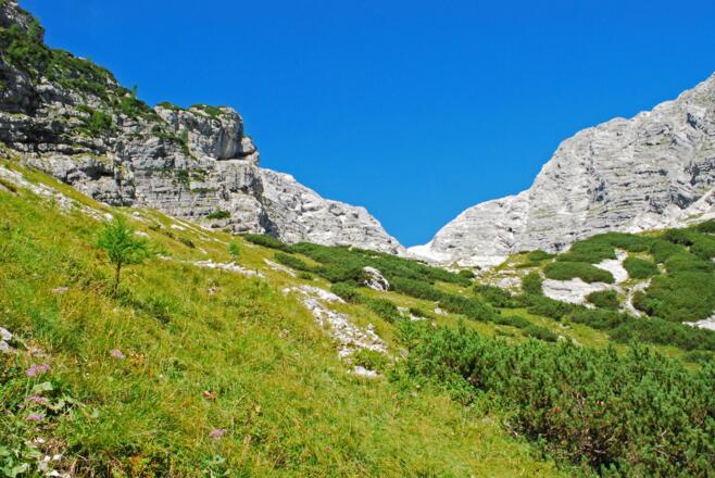 Sanfte Bergwiesen am Eingang zum oberen Finsterriegelkar
