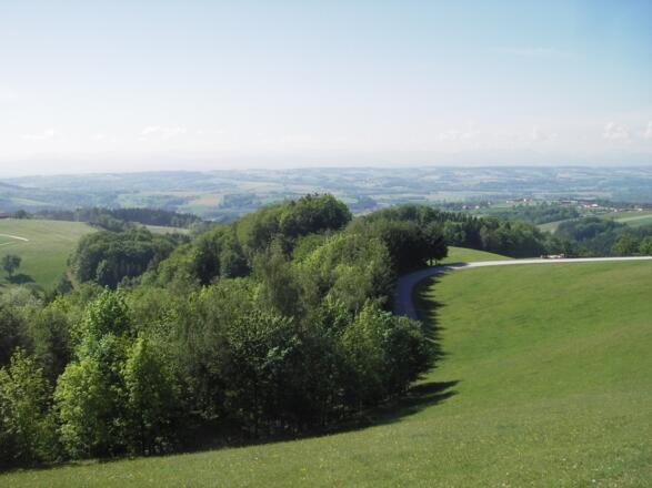 Ausblick von der Gobelwarte