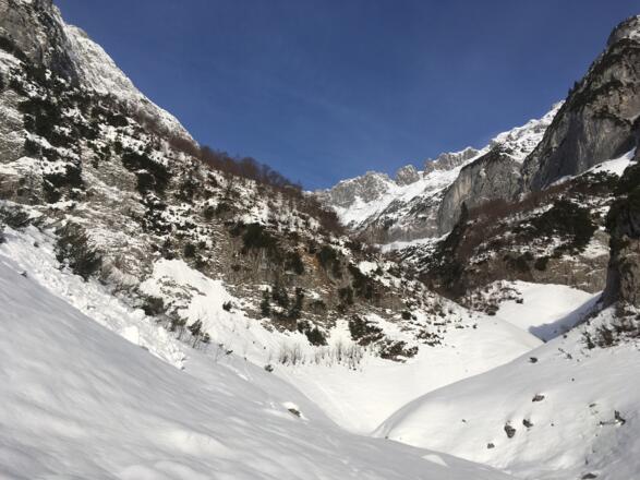 Nach dem Waldstück durchs Bergleintal