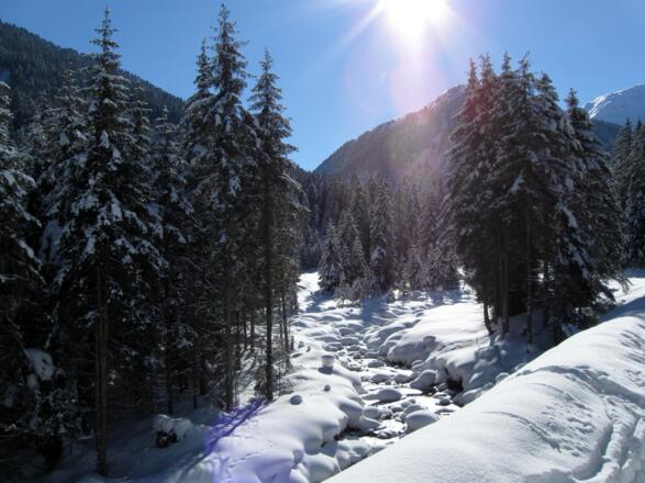 Winterwunderland Fotscher Tal