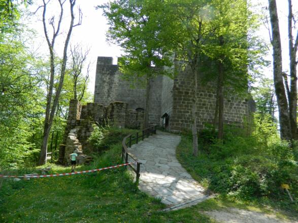 Ruine Windegg