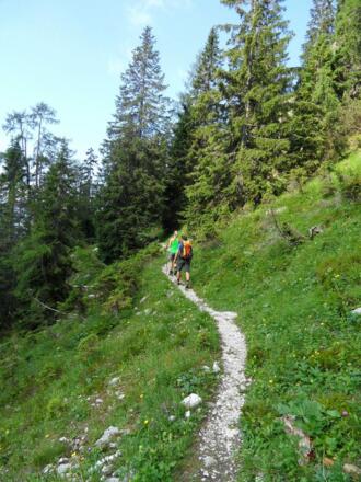 Der Budergrabensteig führ in Serpentinen den Berg hinauf.