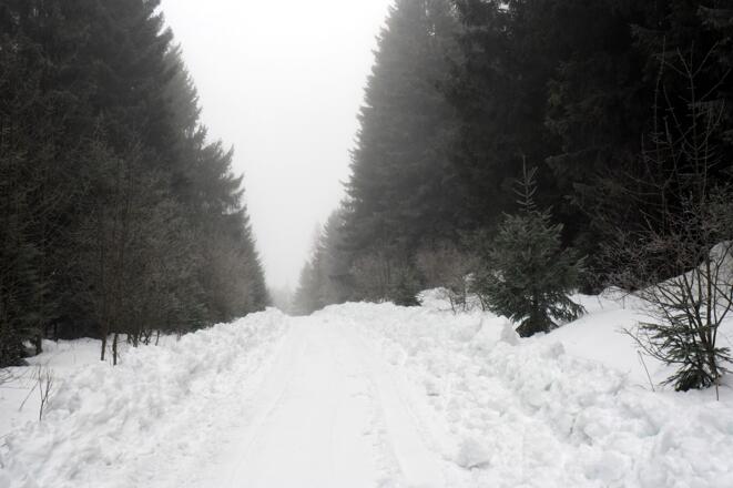 Hochpunkt 920m, links ab zum Gipfelanstieg