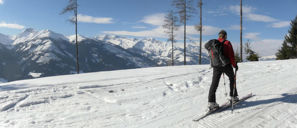 Hohe Tauern (Lärchwand und Glanzgschirr)