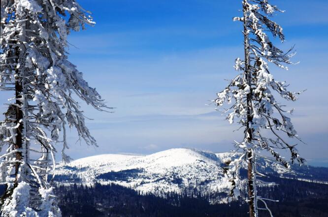 Rückblick zum Plöckenstein vom Reischlberg