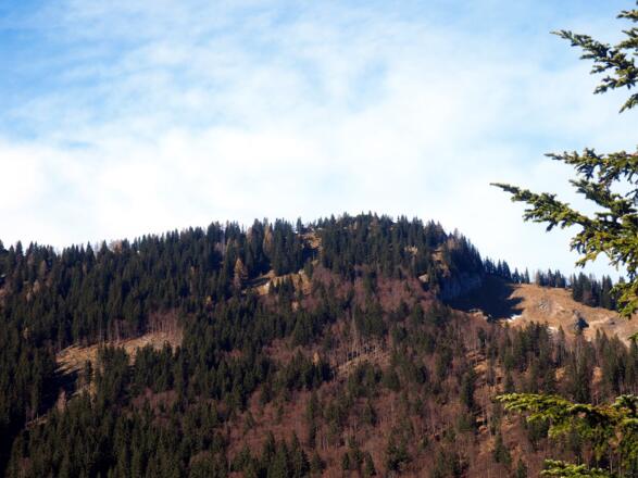 Blick zum Jausenkogel Süd 1514m